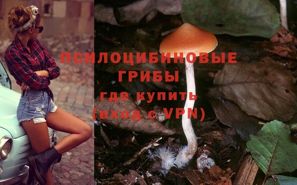 кокс Гусев
