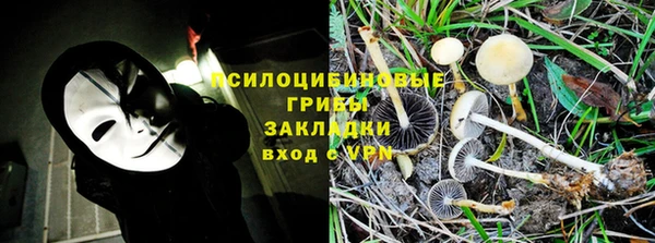 кокс Гусев