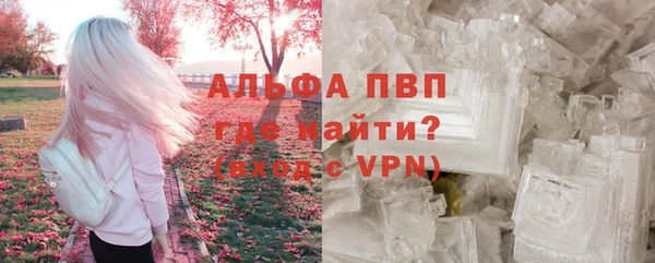 дживик Гусь-Хрустальный